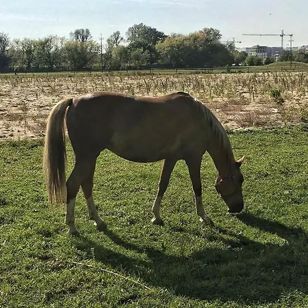 Apartament Vincent Metro 83 M2